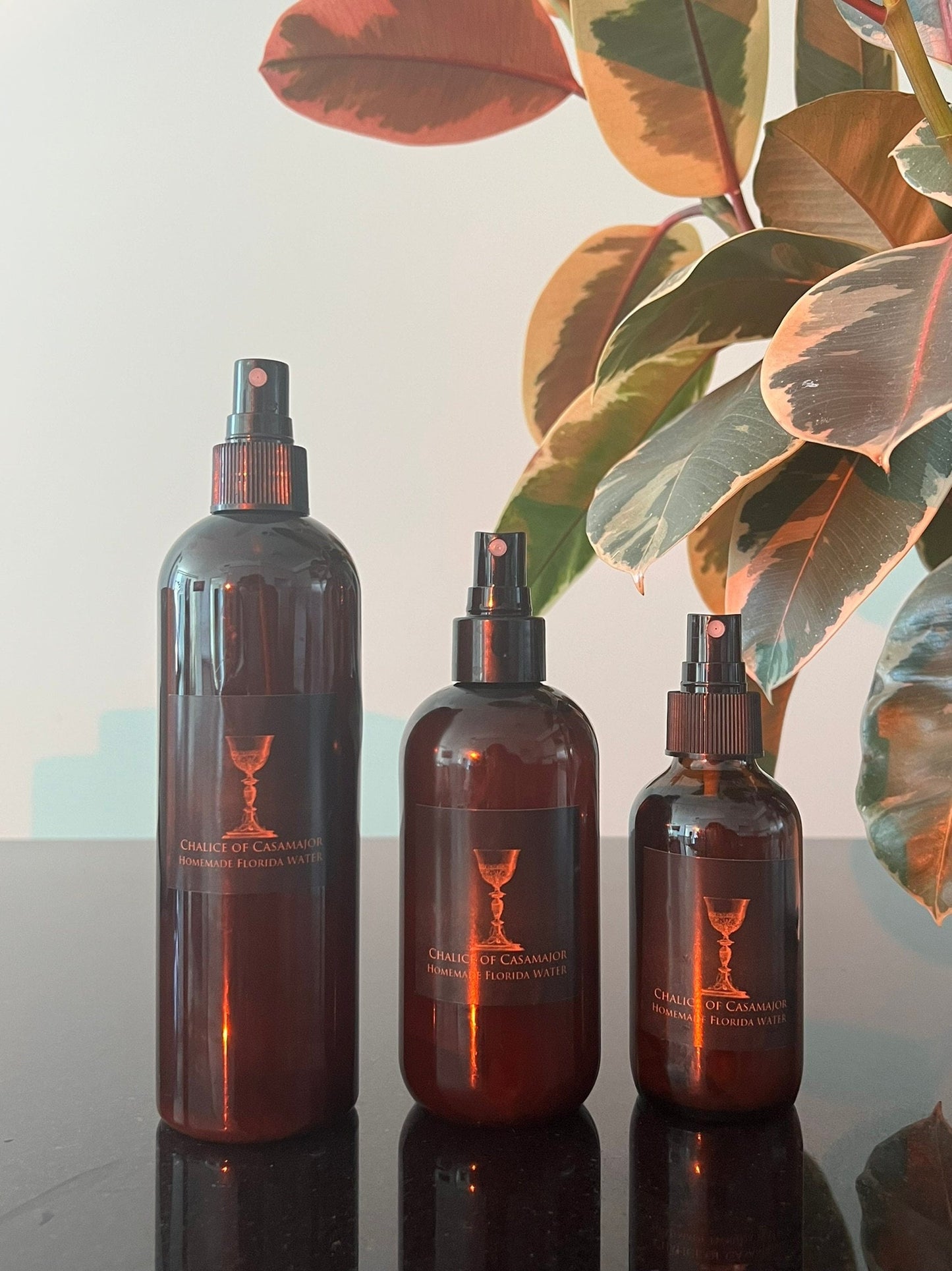 Casamajor Homemade Florida Water Cologne for Prayer, Protection, and Manifestation