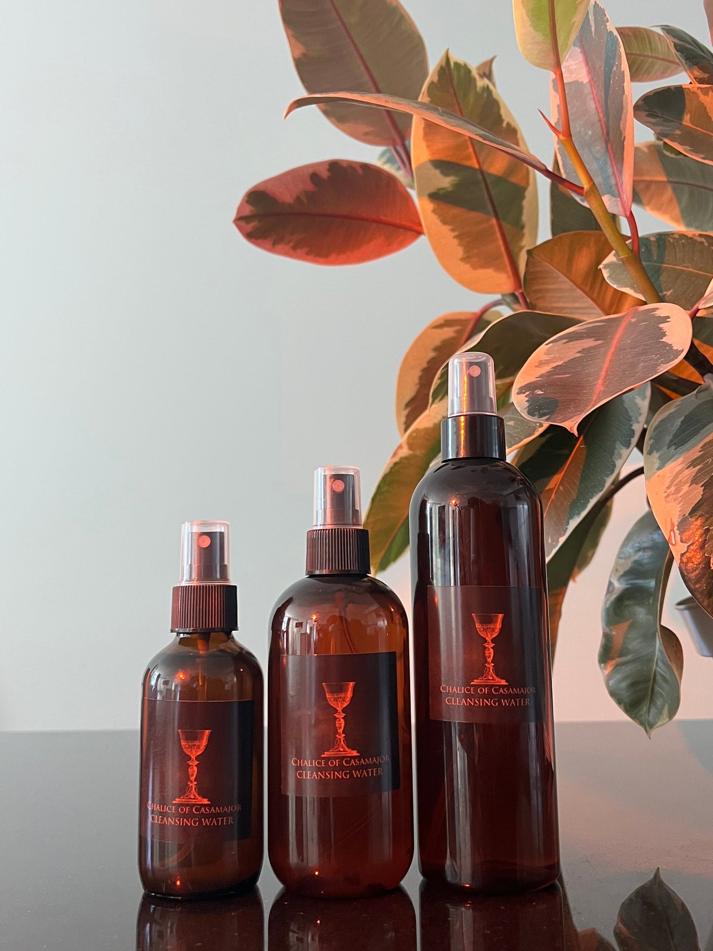 Casamajor Homemade Altar and Holy Space Cleansing Water