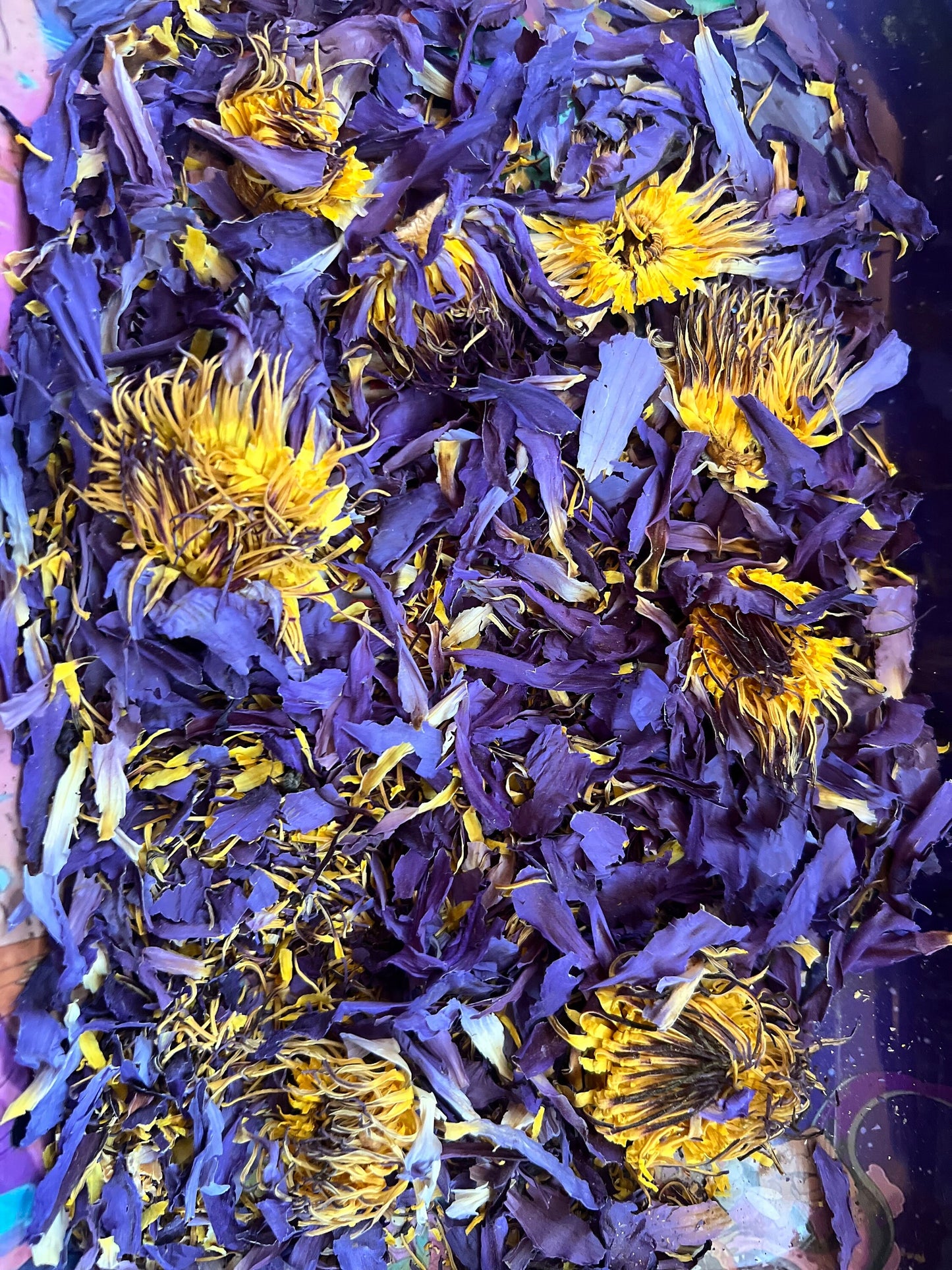 Chalice of Casamajor 100% Raw and Organic Blue Lotus Herbal Tea